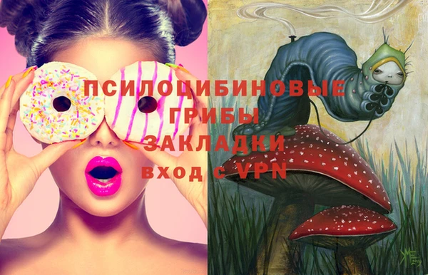 ГАЛЛЮЦИНОГЕННЫЕ ГРИБЫ Алексин