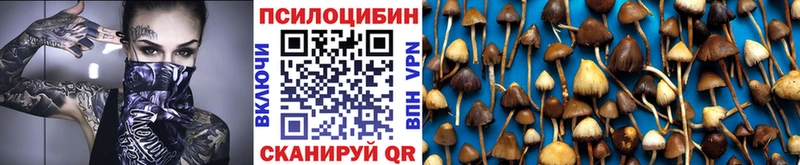Галлюциногенные грибы Cubensis  Данков 